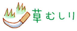 15507097