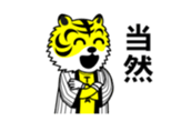 15511640