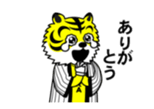 15511647