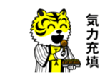 15511651
