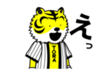 15511654