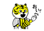 15511657