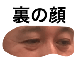 155116730