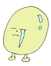 15512606