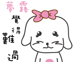 155173255