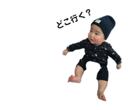 155178558