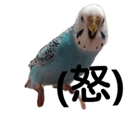 155188568