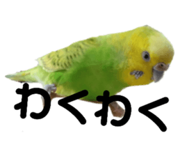 155188579