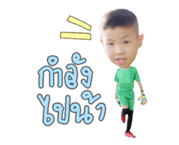 155194886