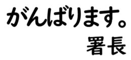 155202406