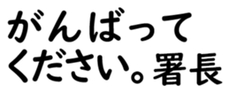 155202407