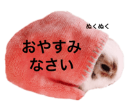 155295976