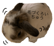 155295979