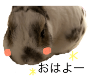 155295984