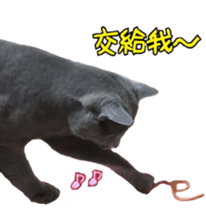 15533300