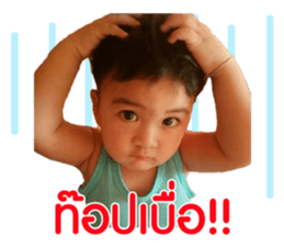 155336234