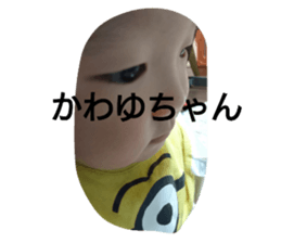 155381144