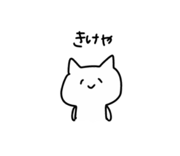 155430020