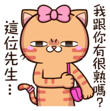 15543180