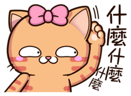 15543201