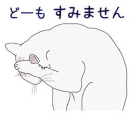 15553084