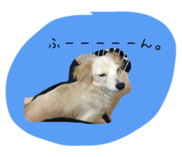 155585630