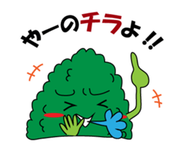 1556105