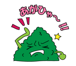 1556111