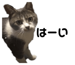 155642313