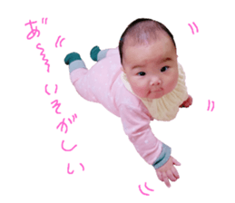 155659977