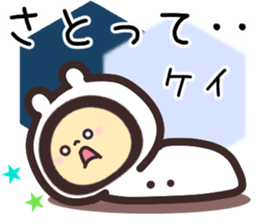 15568559