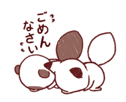 15572979