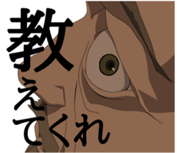 15576288