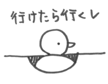 1557855