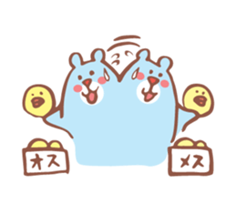 1557954