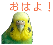155850830