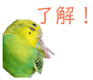 155850833