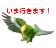 155850835