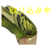 155850836