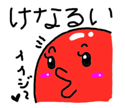 1558571
