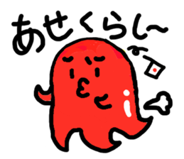 1558572