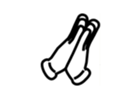 15587217