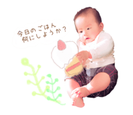 155926911