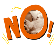 155966665