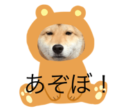 155966680