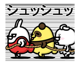 15599887