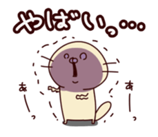 15602163
