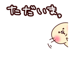15602172