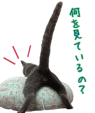 15603539