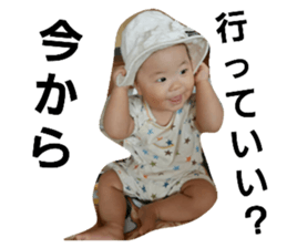156085775